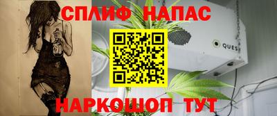 дживик Гусев