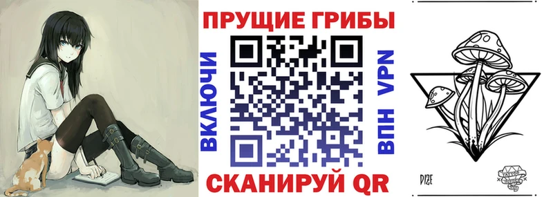 где продают   Иваново  Галлюциногенные грибы GOLDEN TEACHER 