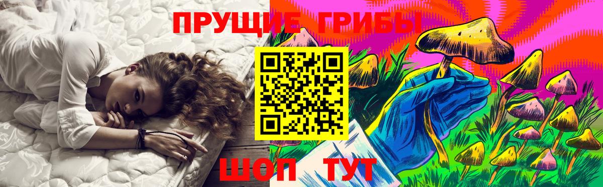 Иваново  Псилоцибиновые грибы GOLDEN TEACHER  Вход с VPN 